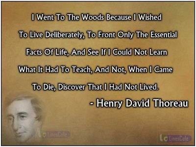 Poet Henry David Thoreau Top Best Quotes (With Pictures) - Linescafe.com